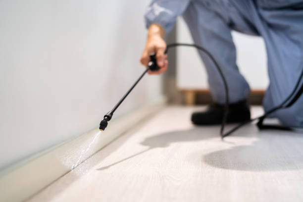 Licensed Pest Control service in Forestville, OH - Show Me Pest Control
